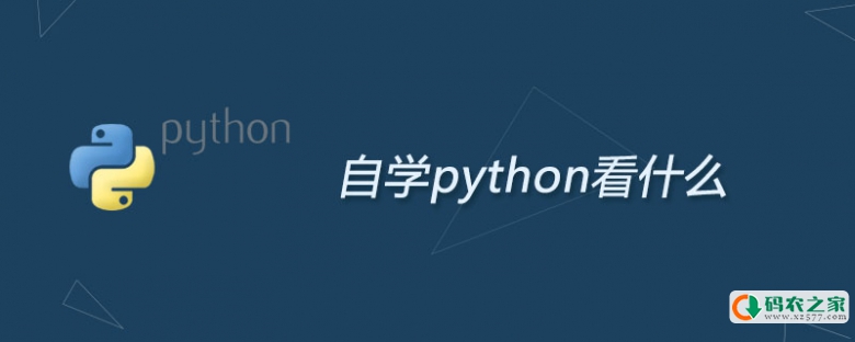 自学python看什么