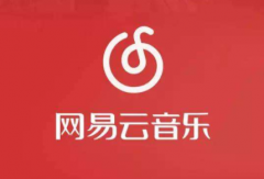 网易云八级是什么意思？什么概念？