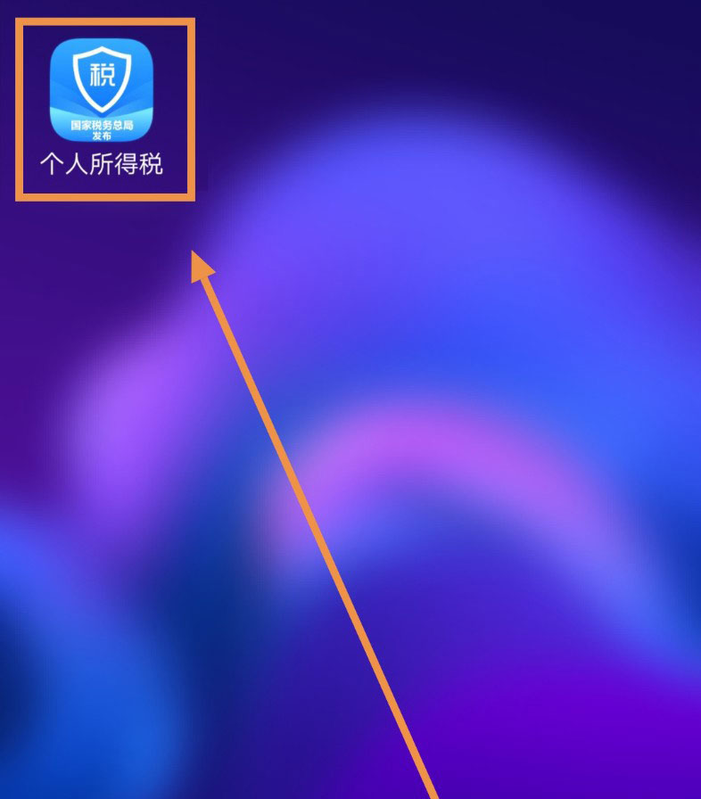 个人所得税app申报密码如何设置