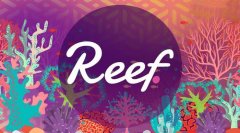 REEF币未来价值的前景如何