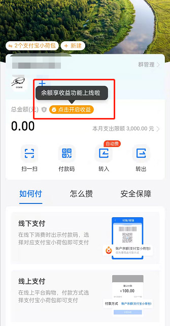 如何开启支付宝小荷包的收益功能