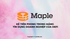 MPL币发行价多少？