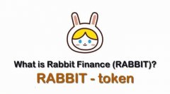 一文详解RABBIT币上线交易所有哪些？