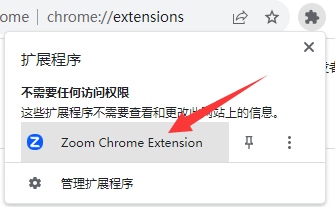 Zoom Chrome Extension