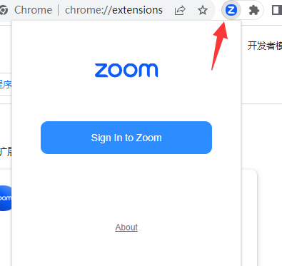 Zoom Chrome Extension