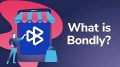 揭秘BONDLY币的基本信息与市场行情全方位解析