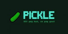 PICKLE币介绍及其发展潜力探讨