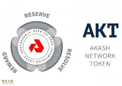 AKT币未来价格能涨到多少？还能涨到100USDT吗？是否值得投资？