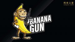 想知道BANANA币的发行价吗？