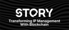 总融资1.4亿的Story Protocol：如何参与其中